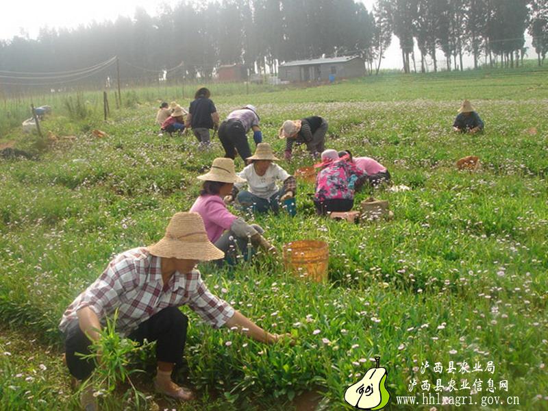 图片其版权均归原作者所有，未经许可严禁转载或建立镜像，如需转载，请与作者或本站联系