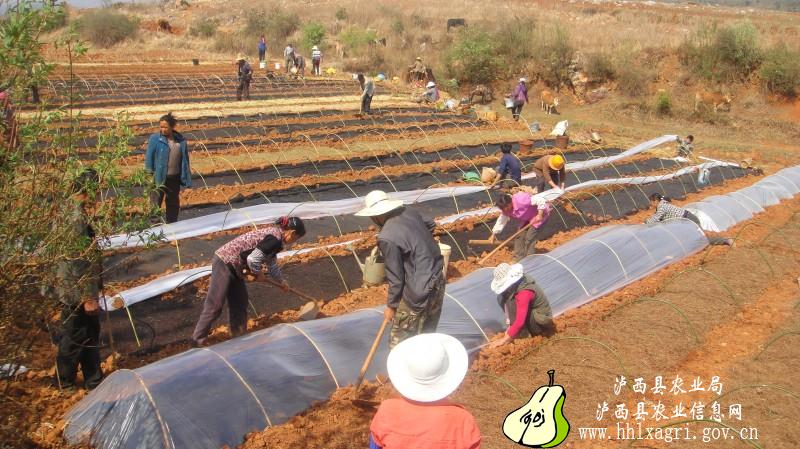 图片其版权均归原作者所有，未经许可严禁转载或建立镜像，如需转载，请与作者或本站联系