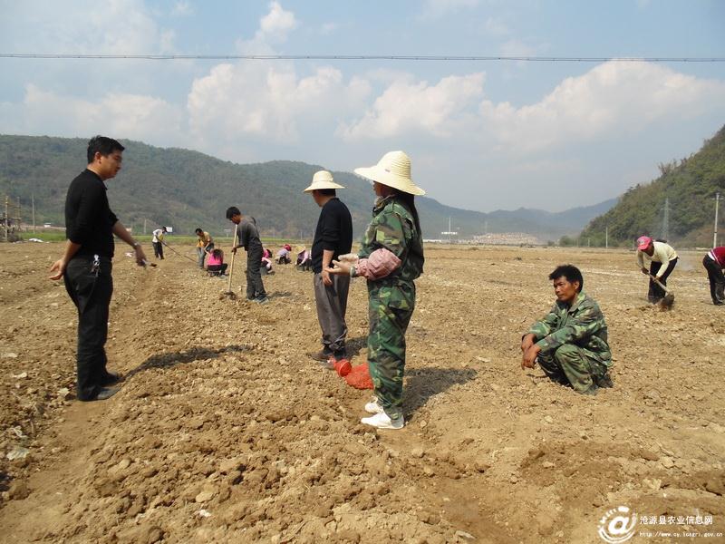 图片其版权均归原作者所有，未经许可严禁转载或建立镜像，如需转载，请与作者或本站联系