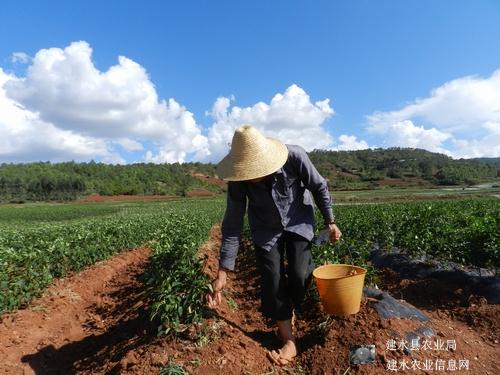 图片其版权均归原作者所有，未经许可严禁转载或建立镜像，如需转载，请与作者或本站联系