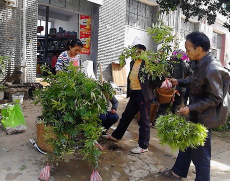 图片其版权均归原作者所有，未经许可严禁转载或建立镜像，如需转载，请与作者或本站联系