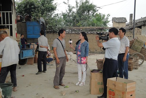 图片其版权均归原作者所有，未经许可严禁转载或建立镜像，如需转载，请与作者或本站联系