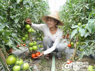 图片其版权均归原作者所有，未经许可严禁转载或建立镜像，如需转载，请与作者或本站联系