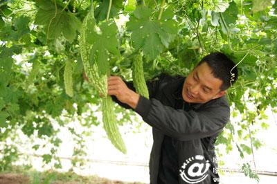 图片其版权均归原作者所有，未经许可严禁转载或建立镜像，如需转载，请与作者或本站联系