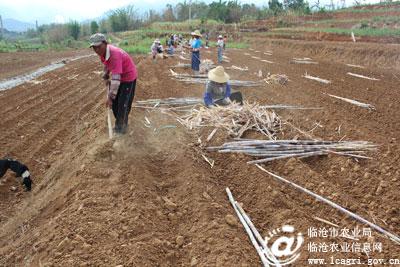 图片其版权均归原作者所有，未经许可严禁转载或建立镜像，如需转载，请与作者或本站联系