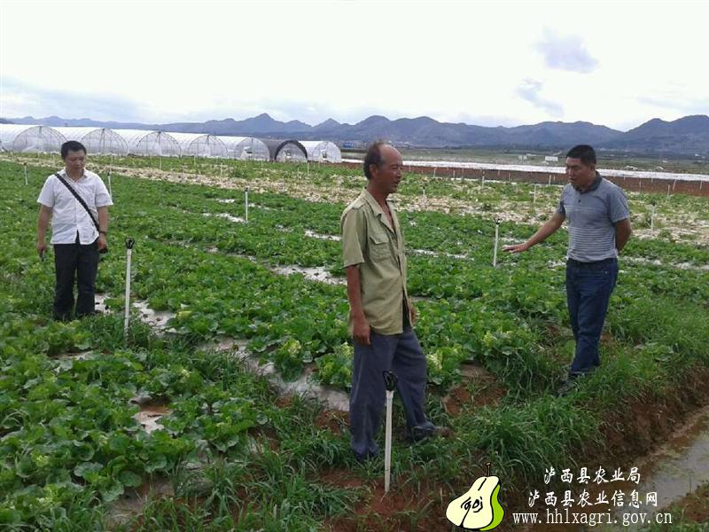 图片其版权均归原作者所有，未经许可严禁转载或建立镜像，如需转载，请与作者或本站联系