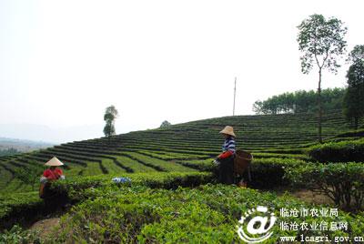 图片其版权均归原作者所有，未经许可严禁转载或建立镜像，如需转载，请与作者或本站联系