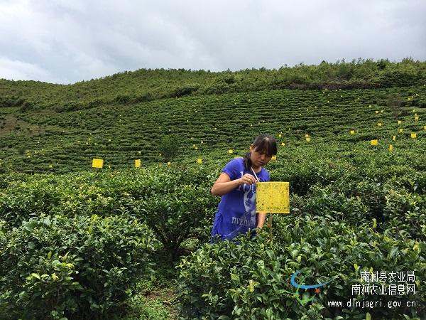 图片其版权均归原作者所有，未经许可严禁转载或建立镜像，如需转载，请与作者或本站联系