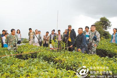 图片其版权均归原作者所有，未经许可严禁转载或建立镜像，如需转载，请与作者或本站联系