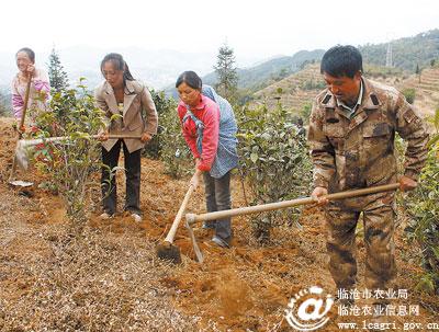 图片其版权均归原作者所有，未经许可严禁转载或建立镜像，如需转载，请与作者或本站联系