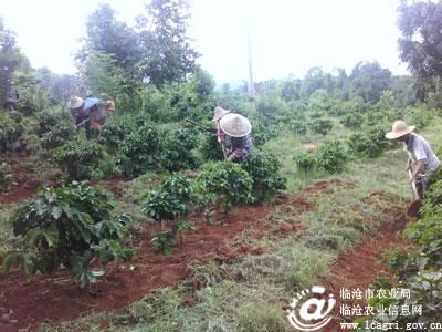 图片其版权均归原作者所有，未经许可严禁转载或建立镜像，如需转载，请与作者或本站联系