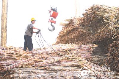 图片其版权均归原作者所有，未经许可严禁转载或建立镜像，如需转载，请与作者或本站联系