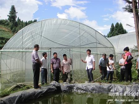 图片其版权均归原作者所有，未经许可严禁转载或建立镜像，如需转载，请与作者或本站联系