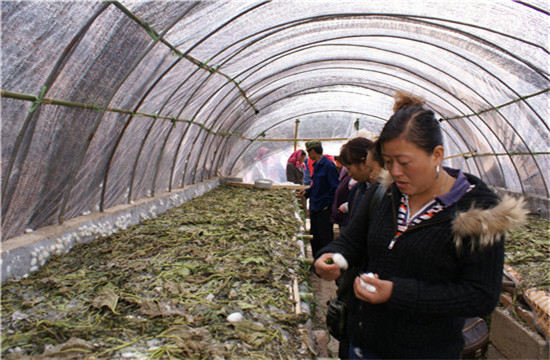 图片其版权均归原作者所有，未经许可严禁转载或建立镜像，如需转载，请与作者或本站联系