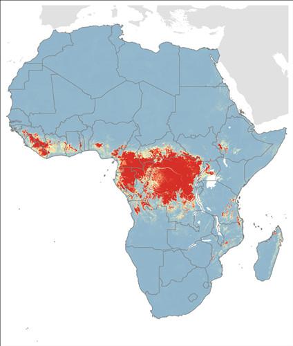 科学家描绘埃博拉地图称高风险区更广阔（图）