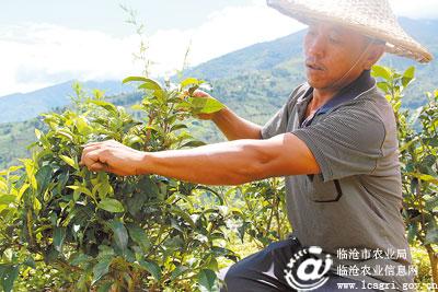 图片其版权均归原作者所有，未经许可严禁转载或建立镜像，如需转载，请与作者或本站联系