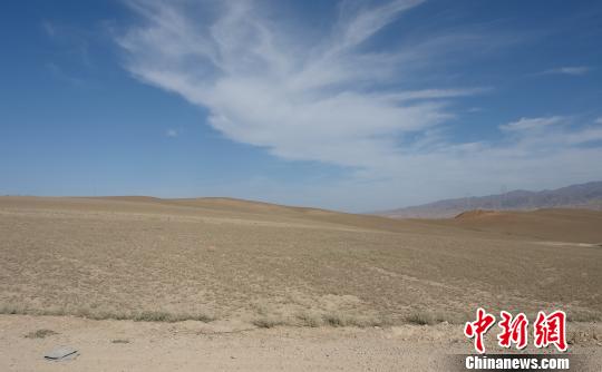 持续干旱致新疆北部草场大面积受灾 牲畜死亡逾8000