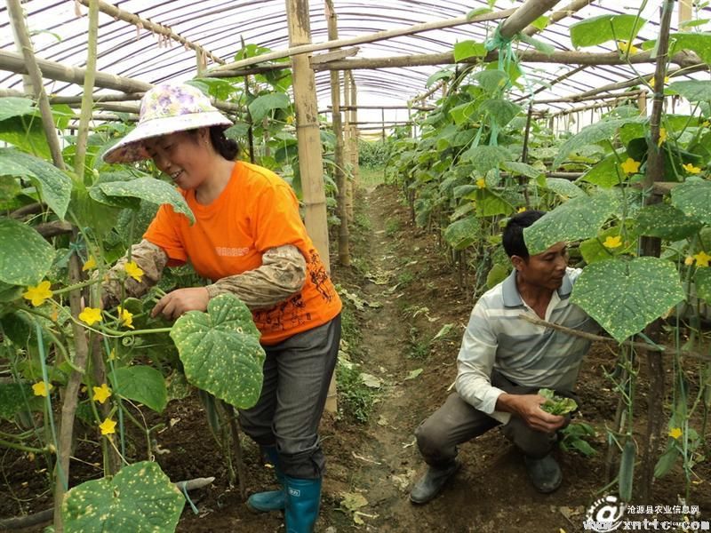 图片其版权均归原作者所有，未经许可严禁转载或建立镜像，如需转载，请与作者或本站联系