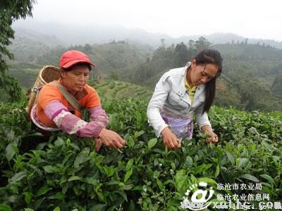 图片其版权均归原作者所有，未经许可严禁转载或建立镜像，如需转载，请与作者或本站联系