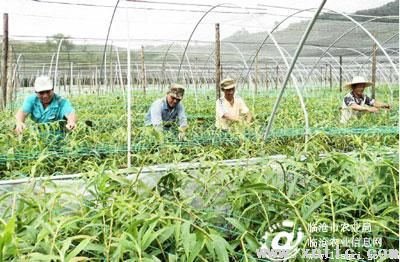 图片其版权均归原作者所有，未经许可严禁转载或建立镜像，如需转载，请与作者或本站联系