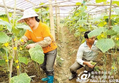 图片其版权均归原作者所有，未经许可严禁转载或建立镜像，如需转载，请与作者或本站联系