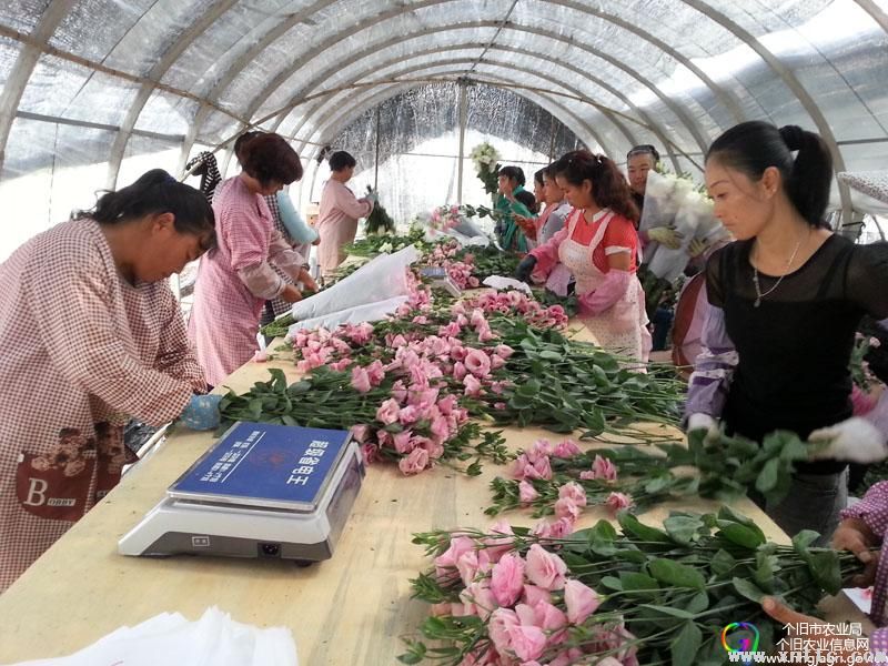 图片其版权均归原作者所有，未经许可严禁转载或建立镜像，如需转载，请与作者或本站联系