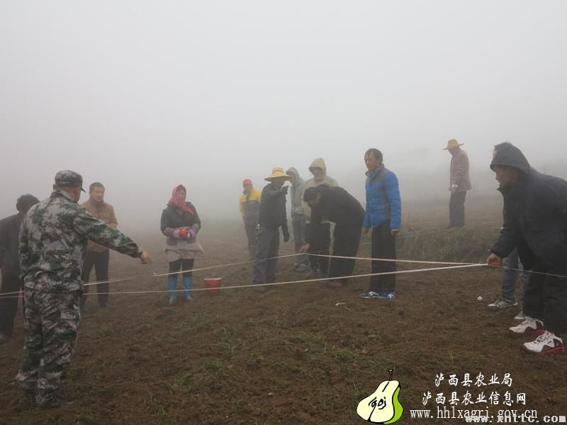 图片其版权均归原作者所有，未经许可严禁转载或建立镜像，如需转载，请与作者或本站联系