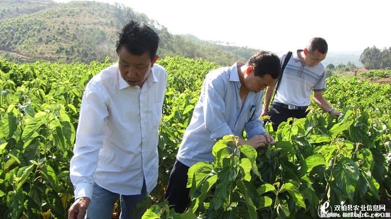 图片其版权均归原作者所有，未经许可严禁转载或建立镜像，如需转载，请与作者或本站联系