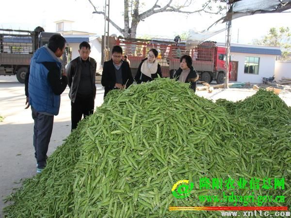 图片其版权均归原作者所有，未经许可严禁转载或建立镜像，如需转载，请与作者或本站联系