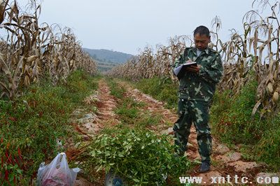 图片其版权均归原作者所有，未经许可严禁转载或建立镜像，如需转载，请与作者或本站联系