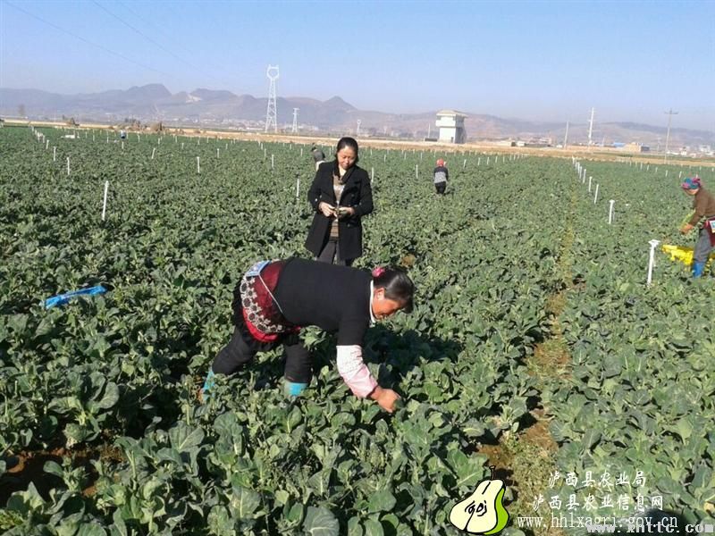 图片其版权均归原作者所有，未经许可严禁转载或建立镜像，如需转载，请与作者或本站联系