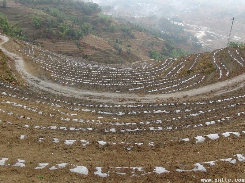 图片其版权均归原作者所有，未经许可严禁转载或建立镜像，如需转载，请与作者或本站联系