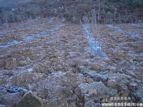 图片其版权均归原作者所有，未经许可严禁转载或建立镜像，如需转载，请与作者或本站联系