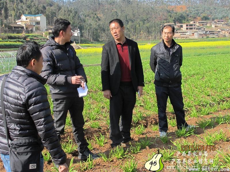 图片其版权均归原作者所有，未经许可严禁转载或建立镜像，如需转载，请与作者或本站联系