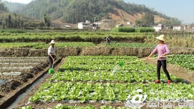 图片其版权均归原作者所有，未经许可严禁转载或建立镜像，如需转载，请与作者或本站联系