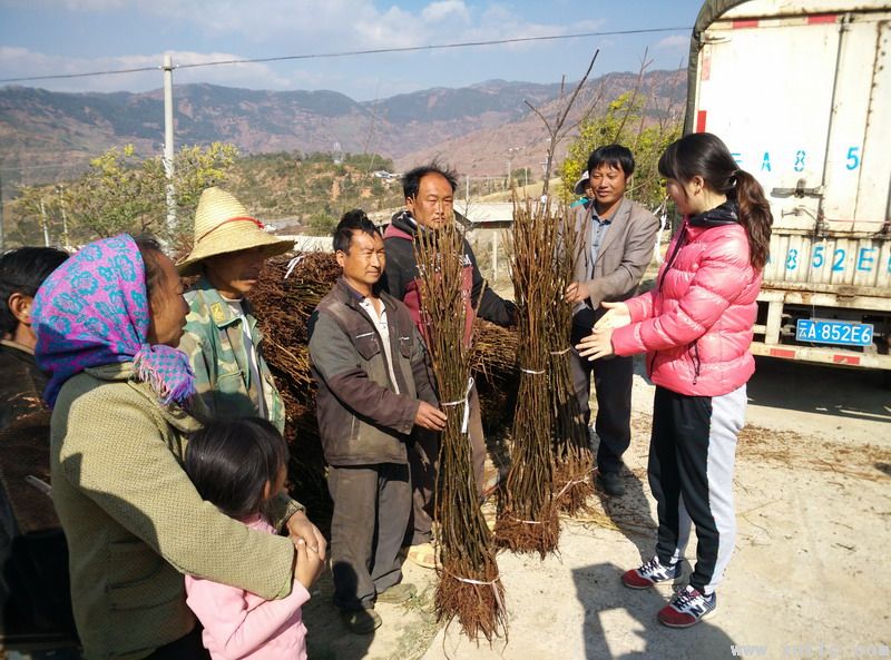 图片其版权均归原作者所有，未经许可严禁转载或建立镜像，如需转载，请与作者或本站联系