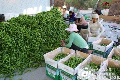 图片其版权均归原作者所有，未经许可严禁转载或建立镜像，如需转载，请与作者或本站联系