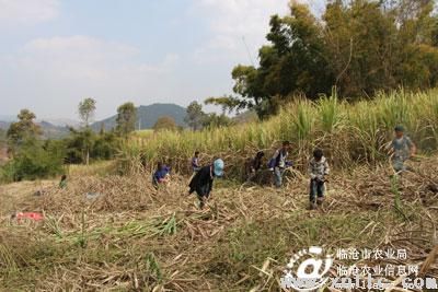 图片其版权均归原作者所有，未经许可严禁转载或建立镜像，如需转载，请与作者或本站联系