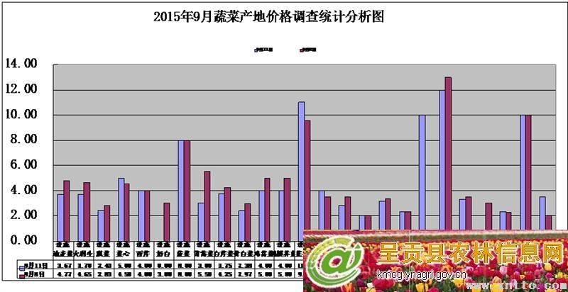 图片其版权均归原作者所有，未经许可严禁转载或建立镜像，如需转载，请与作者或本站联系